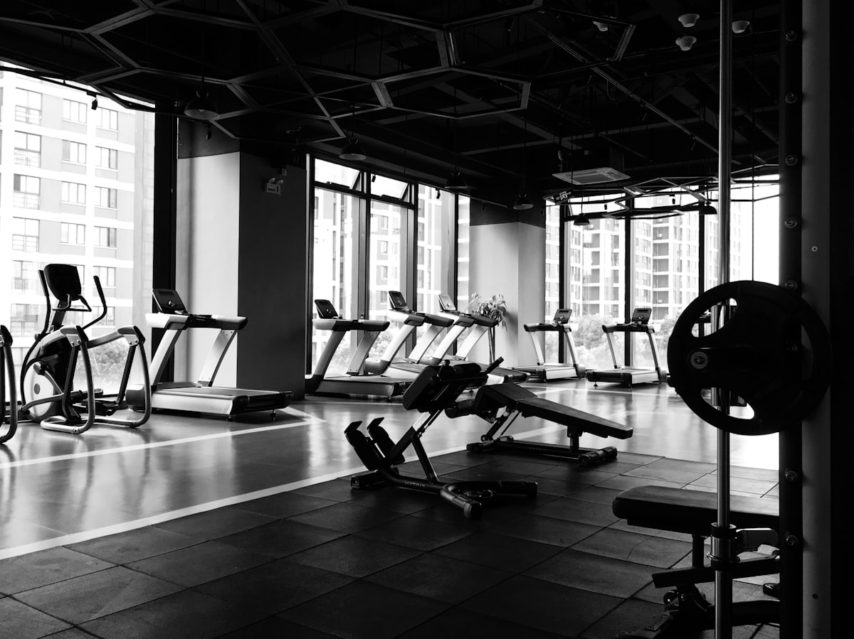 Beginner climbing course